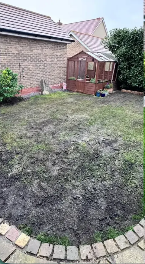 Garden before the lawn transformation